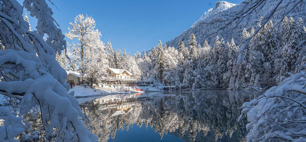 Blausee-Schwimmen 2024